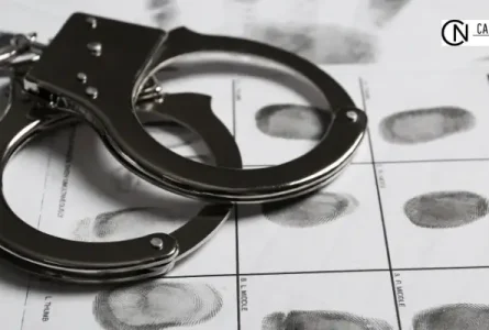 Types of Felony Crimes That Require a Defense Attorney in Kings County