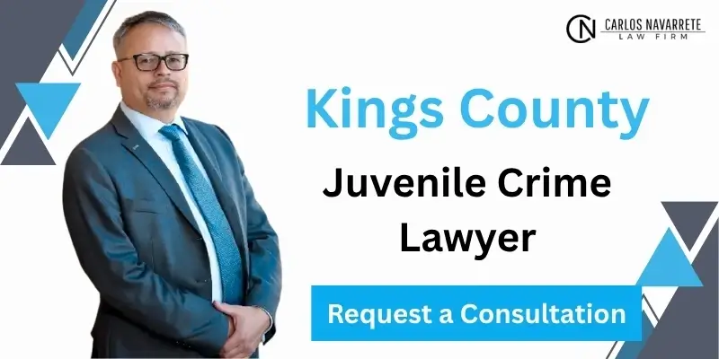 best juvenile crime lawyer in kings county