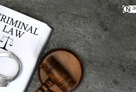 How Much Does a Criminal Lawyer Cost in California?